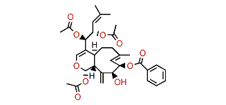 Florxenilide A